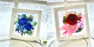 富山県のプリザーブドフラワーの画像