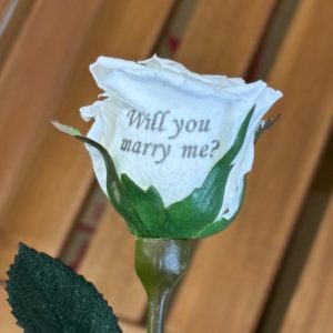 【pr-106】花びら印字、再印字　別途割増料金チケット